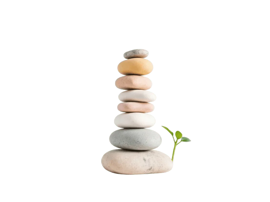 Balanced stack of pebbles with a sprout, representing strength and resilience